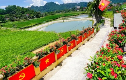 Con đường cờ hoa dài 40m ở Nghệ An thu hút sự quan tâm dịp Quốc khánh
