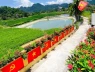 Con đường cờ hoa dài 40m ở Nghệ An thu hút sự quan tâm dịp Quốc khánh