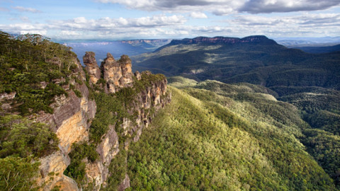 Kể từ khi người châu Âu đến định cư, Australia đã bị tuyệt chủng hàng ngàn loài vật không xương sống