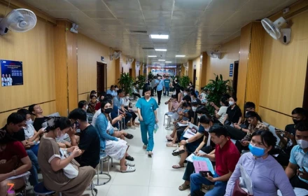 Suy giảm chức năng buồng trứng ngày càng phổ biến ở phụ nữ trẻ. Vì sao như vậy?