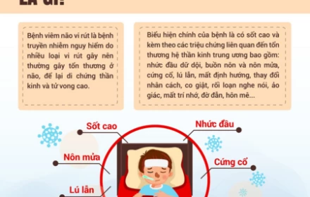 Bộ Y tế chỉ cách phòng ngừa bệnh viêm não virus