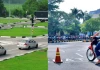 Từ nay chỉ cần đỗ sát hạch chưa có Bằng lái cũng có thể lái xe mà không bị CSGT phạt, đúng không?