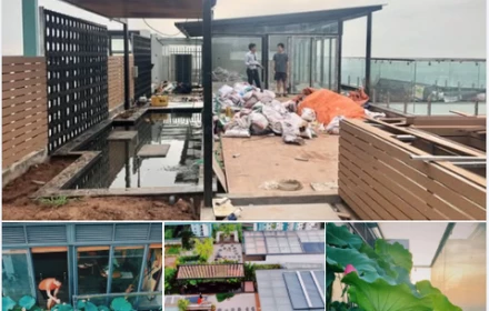 Với 3 tỷ đồng, thanh niên sở hữu vườn rau, ao cá trên tầng 30