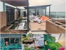 Với 3 tỷ đồng, thanh niên sở hữu vườn rau, ao cá trên tầng 30