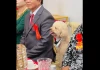 Tranh cãi chó ngồi 1 ghế cạnh bô lão trong đám hỏi