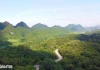 Tìm thấy thi thể du khách mất tích nhiều ngày trong rừng Cúc Phương