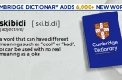 Skibidi là gì?