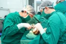 Nối thành công ngón tay cho Thiếu tá Phạm Văn Thắng bị chém ở Hải Phòng