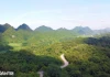 Giải mã những bí hiểm quanh vụ du khách tử vong trong rừng Cúc Phương như thế nào?