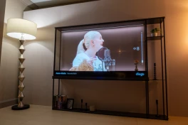 TV xuyên thấu của LG có giá bằng 1 căn nhà ở xã hội