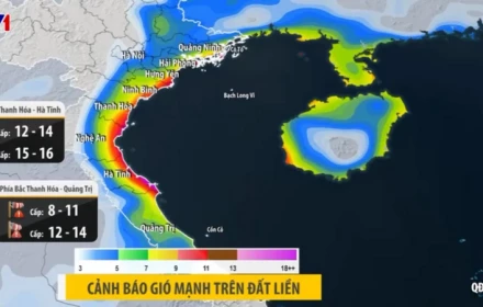 Đã sơ tán gần 30.000 người dân ra khỏi khu vực nguy hiểm để ứng phó bão!