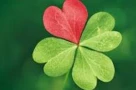 Vì sao có người luôn gặp may, còn bạn thì không? Hóa ra là có "công thức" để thu hút vận may, đón cơ hội không ngờ trong đời