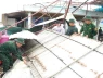 Căng mình khắc phục hậu quả bão số 5