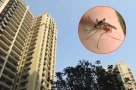 Sống từ tầng bao nhiêu chung cư để không có muỗi?