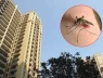 Sống từ tầng bao nhiêu chung cư để không có muỗi?