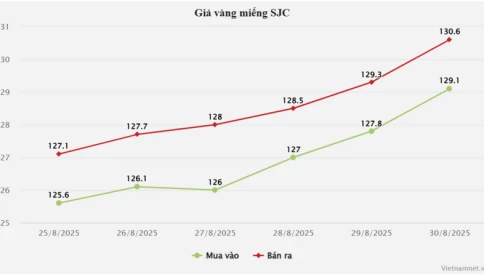 Một tuần vàng SJC tăng gần 4 triệu đồng/lượng, dự báo giá vàng sắp tới thế nào?