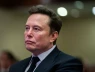Tỷ phú Elon Musk: "Châu Âu có thể biến mất"