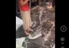 Công an đã làm việc với nhà hàng đổ xà phòng để “đuổi” người dân xem diễu binh