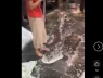 Công an đã làm việc với nhà hàng đổ xà phòng để “đuổi” người dân xem diễu binh