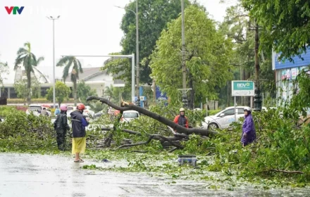 Dự báo còn 5-7 cơn bão trên Biển Đông đến hết năm