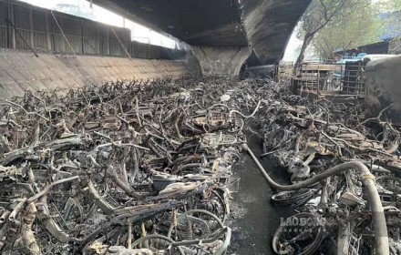 Thủ tướng chỉ đạo điều tra làm rõ nguyên nhân, xử lý trách nhiệm vụ cháy bãi xe gầm cầu Vĩnh Tuy