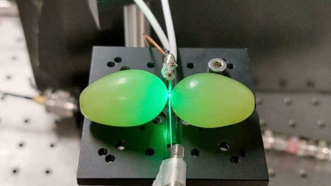 Nghiên cứu đột phá: Nho tươi thay thế sapphire đắt đỏ, tăng gấp đôi hiệu suất cảm biến lượng tử