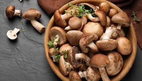 8 lý do bạn nên ăn nấm thường xuyên