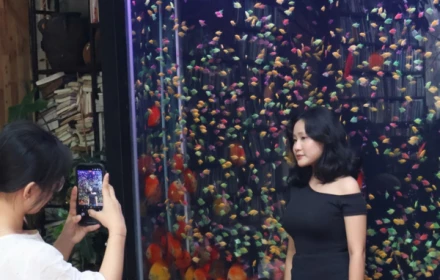 Độc đáo cà phê thủy cung đang hút giới trẻ