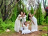 Đẹp như cổ tích: Rừng tràm phủ rêu xanh ở Khánh Hòa, một điểm đến mới lạ cho các tin đồ thích ngao du chụp ảnh