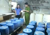 Tội ác mang tên “giá đỗ siêu tốc”: Khi lòng tham đầu độc bữa ăn của người Việt