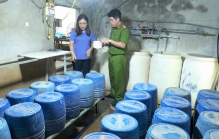 Tội ác mang tên “giá đỗ siêu tốc”: Khi lòng tham đầu độc bữa ăn của người Việt