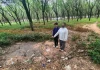 Cuộc tình dù đúng dù sai, gái chưa 16 thì trai đi tù: Bắt giữ đối tượng nhiều lần x.âm h.ại bạn gái 12 tuổi