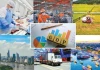 Thủ tướng chỉ đạo các giải pháp thúc đẩy tăng trưởng, nâng cao đời sống Nhân dân