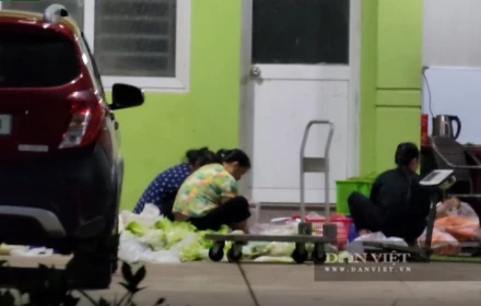 Vụ rau trôi nổi đưa vào trường học ở Hà Nội: "Chúng tôi bị lừa dối"