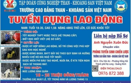 🌟🌟🌟THÔNG BÁO Công ty Than Thống Nhất - TKV, Công ty CP Than Hà Lầm - Vinacomin tuyển dụng Công