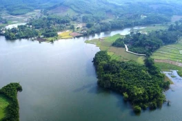 Cây đầu gành gần 700 tuổi gắn liền với làng Trà Tây ở Quảng Nam