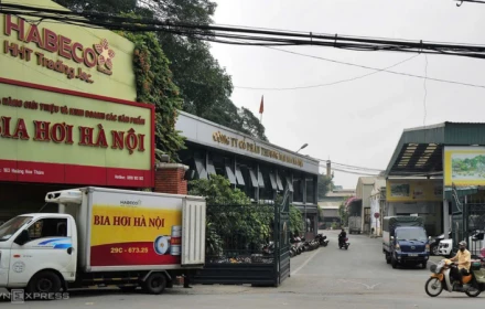 Hà Nội nghiên cứu xây Bảo tàng bia