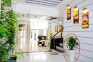 5 quy tắc phong thủy hút tài lộc: Người giàu đặc biệt kiêng kỵ phần 'miệng' của ngôi nhà