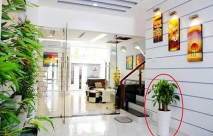 5 quy tắc phong thủy hút tài lộc: Người giàu đặc biệt kiêng kỵ phần 'miệng' của ngôi nhà