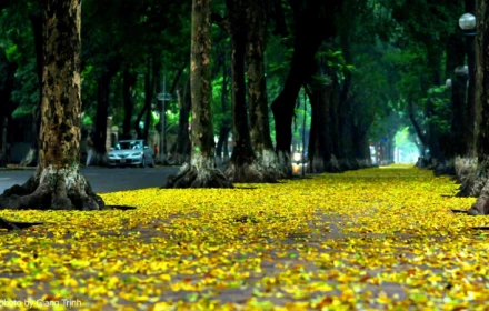 Vì sao mùa thu ở miền Bắc lại mát dịu, dễ chịu và... ngắn ngủi thế?