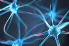 Nga tìm ra phương pháp điều trị mới cho bệnh động kinh
