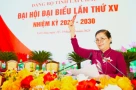 Tuần qua, 3 tỉnh, thành tiến hành Đại hội Đảng, nữ Ủy viên Trung ương không tái cử chức Bí thư