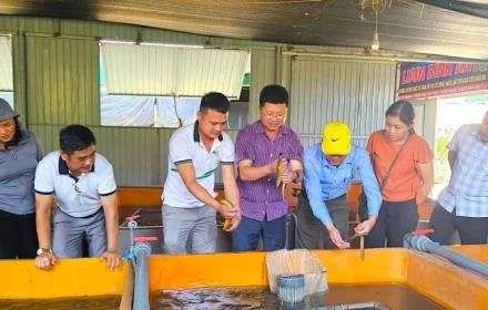 Bãi nhiệm Trưởng thôn, Tổ trưởng tổ dân phố năm 2025: Quy trình cụ thể gồm những bước nào?