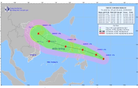 Tin về cơn bão Bualoi, sắp trở thành bão số 10