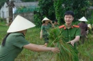 Đời thường: Công an giúp người dân gặt lúa chạy bão