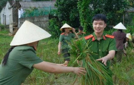 Đời thường: Công an giúp người dân gặt lúa chạy bão