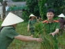 Đời thường: Công an giúp người dân gặt lúa chạy bão