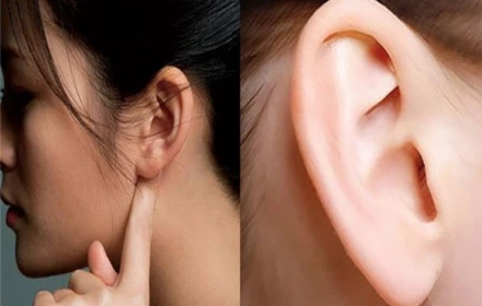 Nhìn tướng tai biết tương lai: Dành 1 phút quan sát tai, xem bạn có tướng giàu sang không?