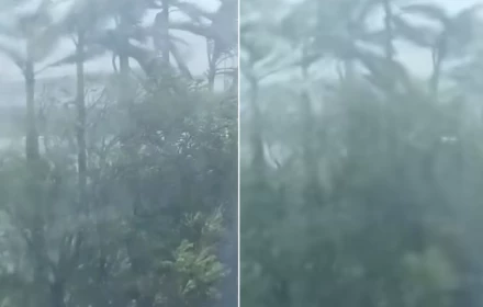 Mưa gió gầm thét trên biển Diễn Thành, Diễn Châu khi bão Bualoi đổ bộ ⛈️💨