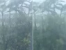 Mưa gió gầm thét trên biển Diễn Thành, Diễn Châu khi bão Bualoi đổ bộ ⛈️💨